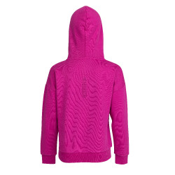 Hoodie equestre juvenil Aubrion React – Shires