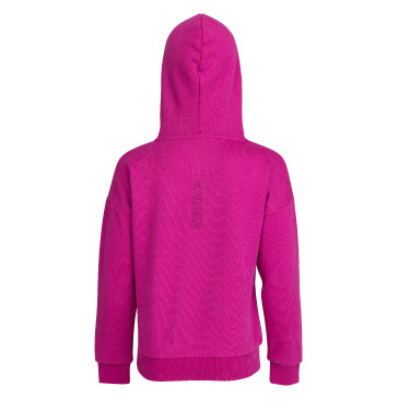 Hoodie equestre juvenil Aubrion React – Shires