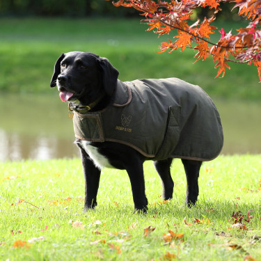Casaco de cão encerado Shires Digby & Fox | Equestre