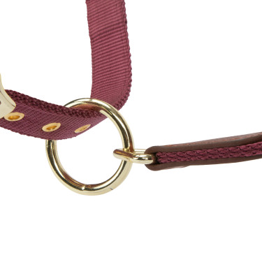 Cabeção de Equitação ARMA Porto Shires – Ajustável e Elegante