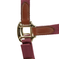 Cabeção de Equitação ARMA Porto Shires – Ajustável e Elegante