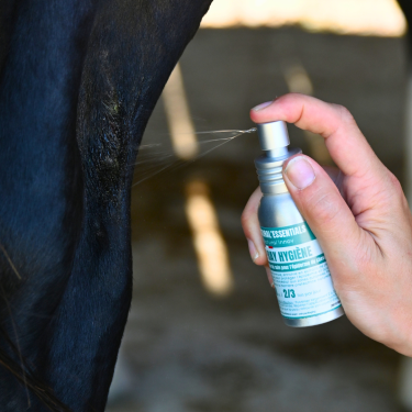 Loção purificante Natural'Innov spray de higiene