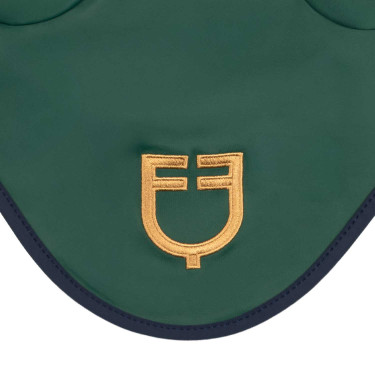 Cuffietta em tecido técnico Equestro X Fise 100 Verde sálvia profundo / floresta azul