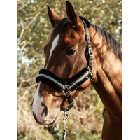 Caveção Mountain Horse