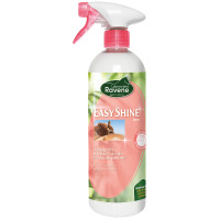 Easy Shine lustroso Ravene
