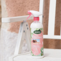 Easy Shine lustroso Ravene Easy Shine lustroso Ravene