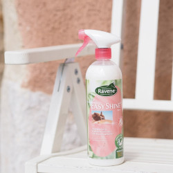 Easy Shine lustroso Ravene Easy Shine lustroso Ravene