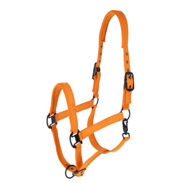 Licol Covalliero AH26 Laranja