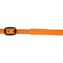 Licol Covalliero AH26 Laranja