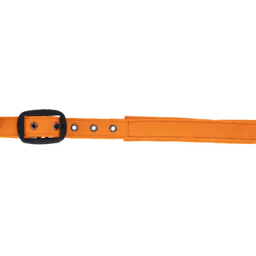 Licol Covalliero AH26 Laranja