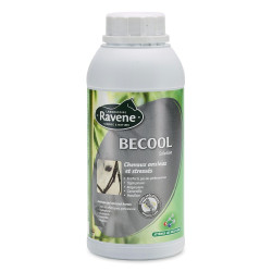 Becool Ravene Becool Ravene