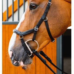 Bridão de Equitação Micklem 2 Deluxe com Rédeas