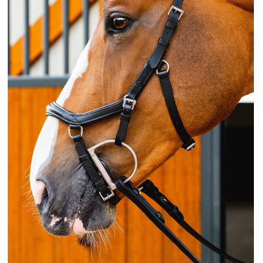 Bridão de Equitação Micklem 2 Deluxe com Rédeas