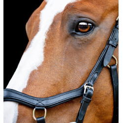 Bridão Horseware Micklem 2 Competition com rédeas de borracha Preto