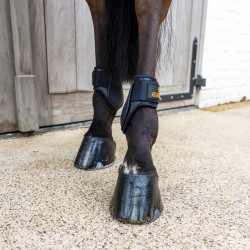 Protetor de boleto Young horses Classic choco L Preto Protetor de boleto Young horses Classic choco L Preto