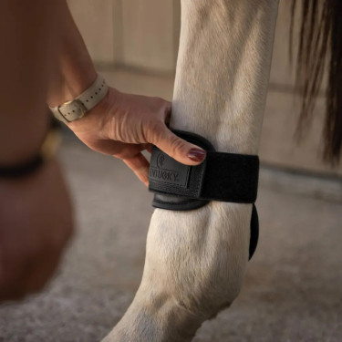 Protetor de boleto Young horses Pro choco L Preto