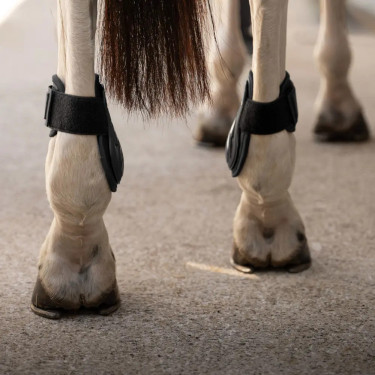 Protetor de boleto Young horses Pro choco L Preto
