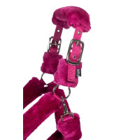 Caveção Comfort HKM Caveção Comfort HKM