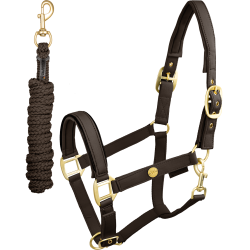 Conjunto de cabrestos Ubud Waldhausen Espresso Castanho