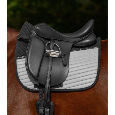 Chabraque Reflex Waldhausen