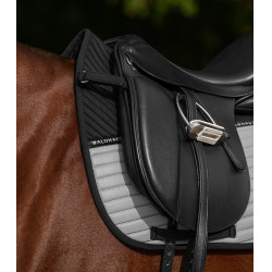 Chabraque Reflex Waldhausen