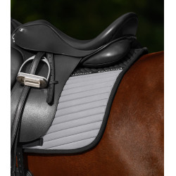 Chabraque Reflex Waldhausen