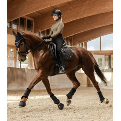 Guarda-pernas de dressage Phoenix Waldhausen