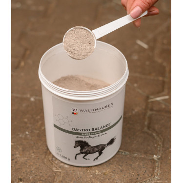 Suplemento equino para estômago – Gastro Balance Suplemento equino para estômago – Gastro Balance