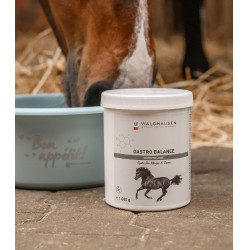 Suplemento equino para estômago – Gastro Balance Suplemento equino para estômago – Gastro Balance
