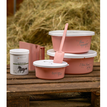 Suplemento equino para estômago – Gastro Balance Suplemento equino para estômago – Gastro Balance