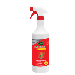 Emouchine Total Ravene Emouchine Total Ravene