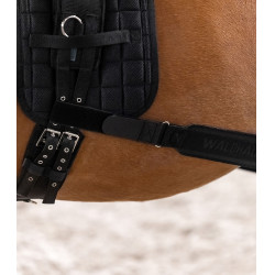 Bandagem corporal Waldhausen para garupa Preto Bandagem corporal Waldhausen para garupa Preto