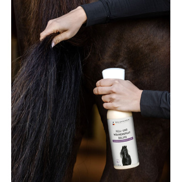Spray para crina e pelagem equina Waldhausen Deluxe 500ml