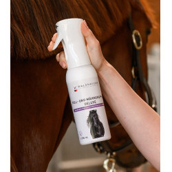 Spray para crina e pelagem equina Waldhausen Deluxe 500ml