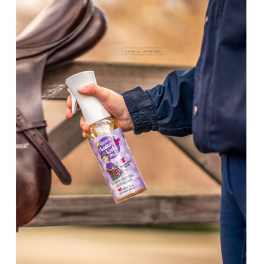 Limpador de couro equestre 500ml – Soulhorse No.2 Limpador de couro equestre 500ml – Soulhorse No.2