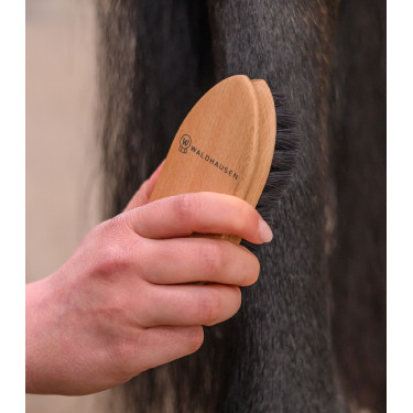 Escova rígida equitação Waldhausen Exclusive Line
