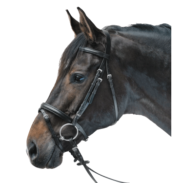 Bridon Star Lifestyle Preto / preto Bridon Star Lifestyle Preto / preto
