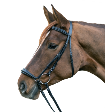 Bridon Star Hannover Preto