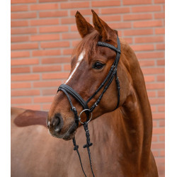 Bridão de Equitação Star Diamond com strass