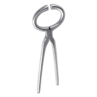 Tricoise Waldhausen para examinar os cascos Cinzento