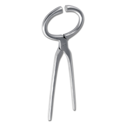 Tricoise Waldhausen para examinar os cascos Cinzento