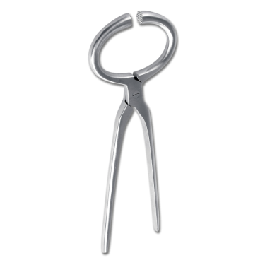 Tricoise Waldhausen para examinar os cascos Cinzento