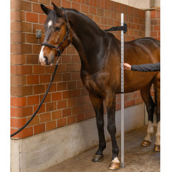 Toise de alumínio Waldhausen para cavalos | equitação
