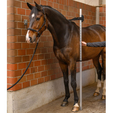 Toise de alumínio Waldhausen para cavalos | equitação