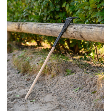 Ancinho Waldhausen para recolher estrume Preto