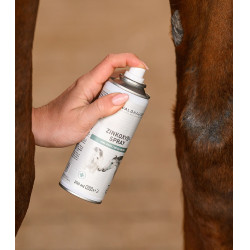 Spray de óxido de zinco para cavalos – Waldhausen Spray de óxido de zinco para cavalos – Waldhausen