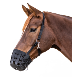 Cesto de pastagem para cavalo Waldhausen – equitação Cesto de pastagem para cavalo Waldhausen – equitação