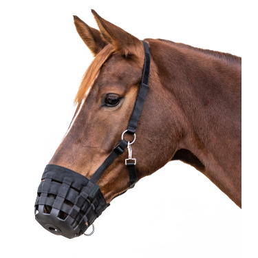 Cesto de pastagem para cavalo Waldhausen – equitação Cesto de pastagem para cavalo Waldhausen – equitação