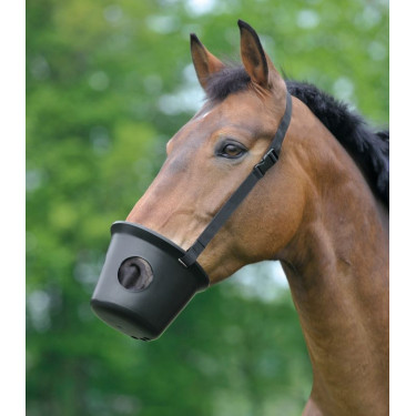 Cesto anti-cólica Waldhausen cavalo Preto