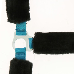 Cabeçada Norton com forro completo de lã sintética Azul elétrico / preto